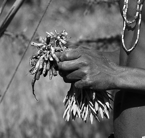 Hadzabe tribe