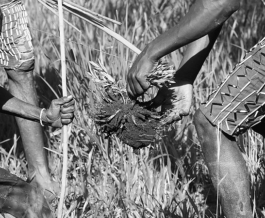 Hadzabe tribe