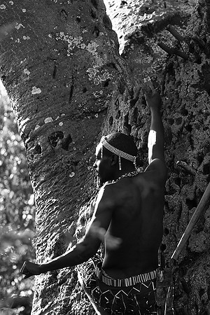 Hadzabe tribe