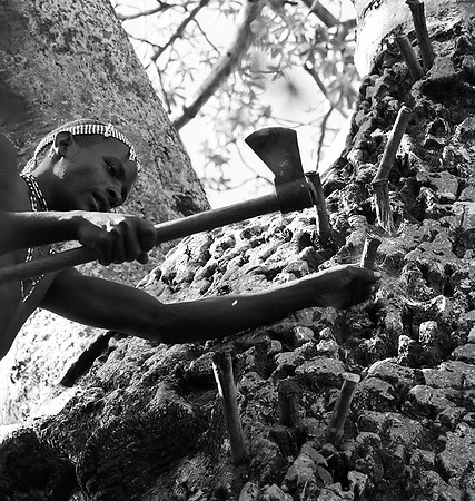 Hadzabe tribe