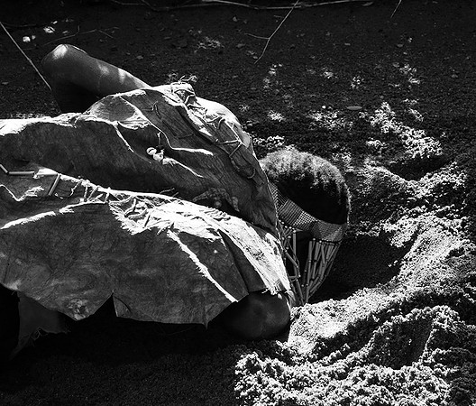 Hadzabe tribe