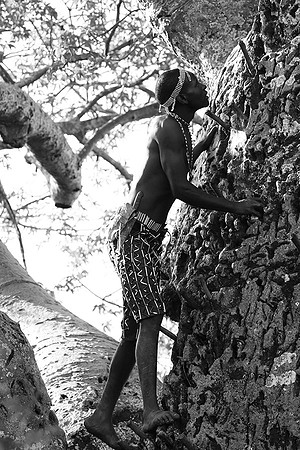 Hadzabe tribe