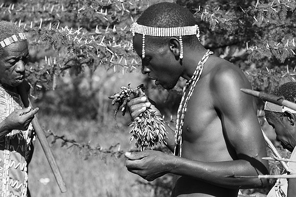Hadzabe tribe