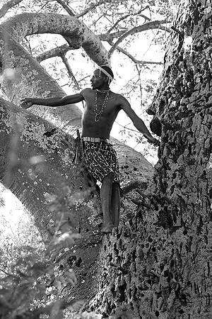 Hadzabe tribe