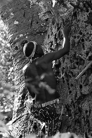 Hadzabe tribe