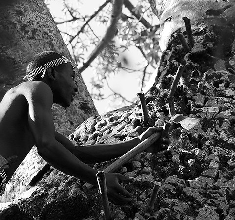 Hadzabe tribe
