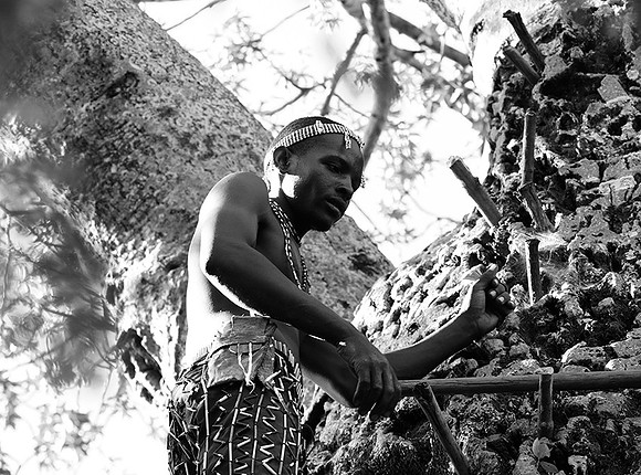 Hadzabe tribe