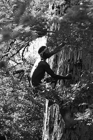 Hadzabe tribe
