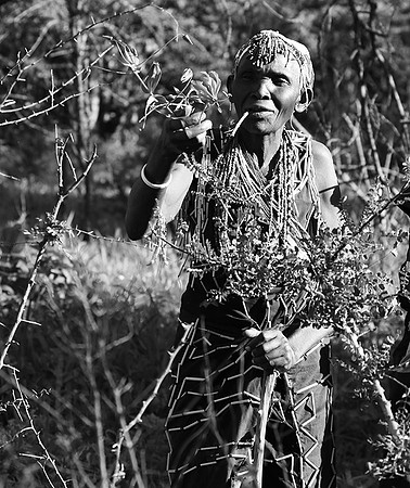Hadzabe tribe