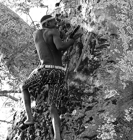 Hadzabe tribe