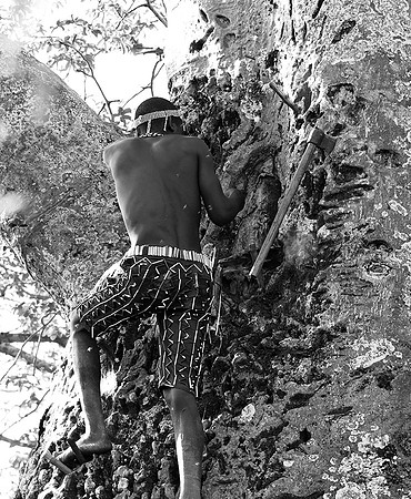 Hadzabe tribe