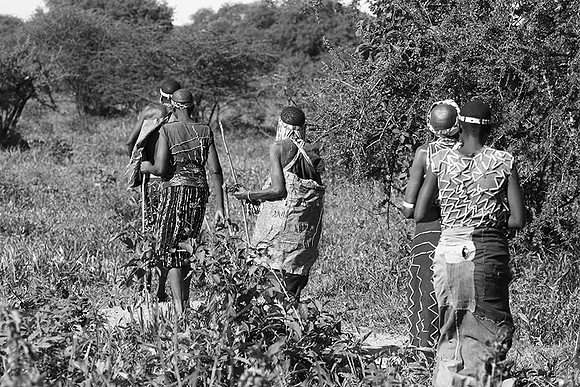 Hadzabe tribe