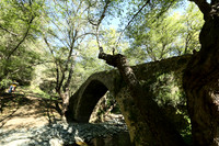 Medieval bridge near Pafos : Roudia bridge