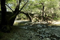 Medieval bridge near Pafos : Roudia bridge