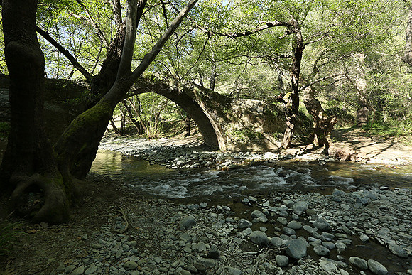 Medieval bridge near Pafos : Roudia bridge