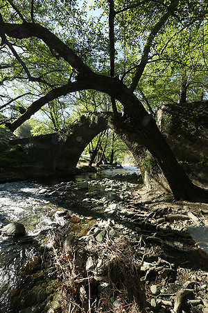 Medieval bridge near Pafos : Roudia bridge