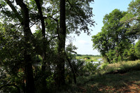 Lion Sands