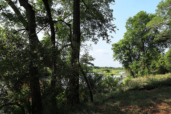 Lion Sands