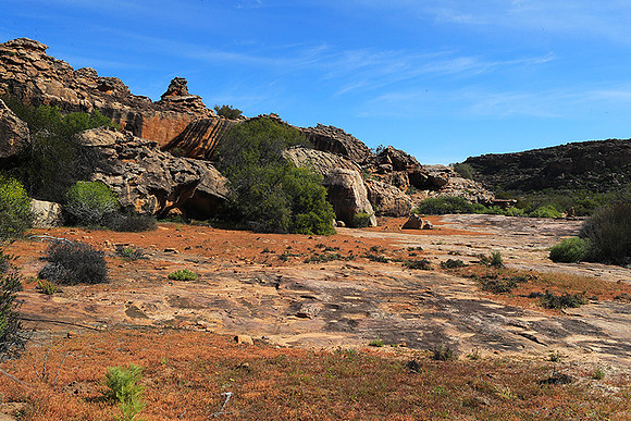 Landscape west coast