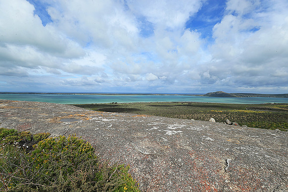 Landscape West Coast NP
