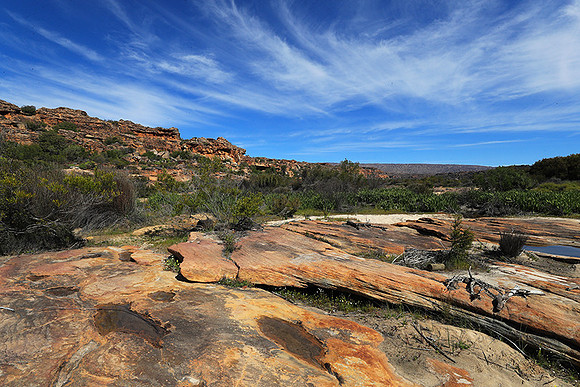 Landscape west coast