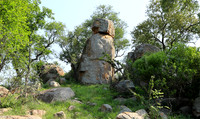Lion Sands