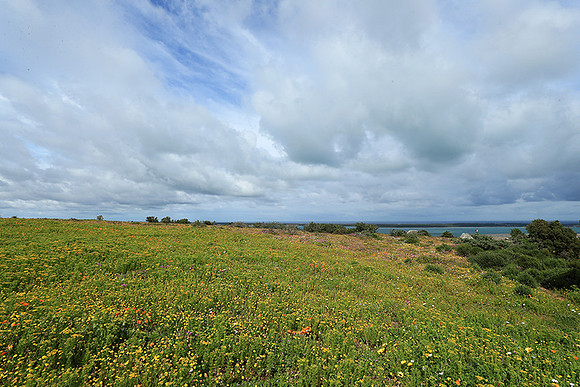 Landscape West Coast NP