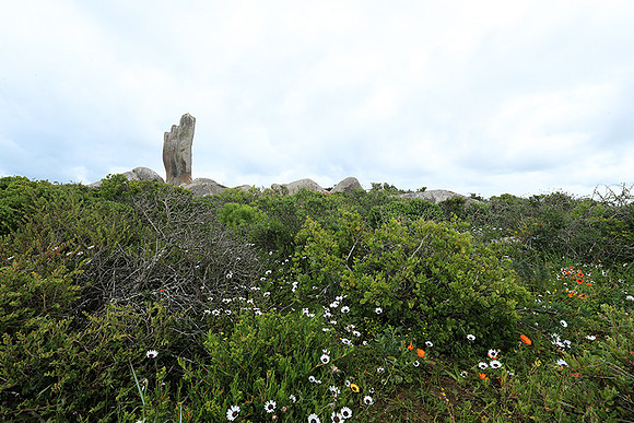 Landscape West Coast NP