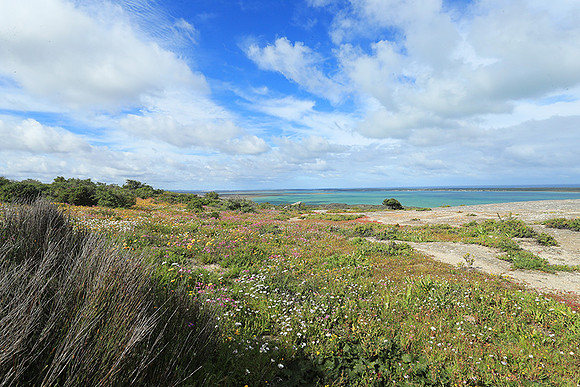 Landscape West Coast NP