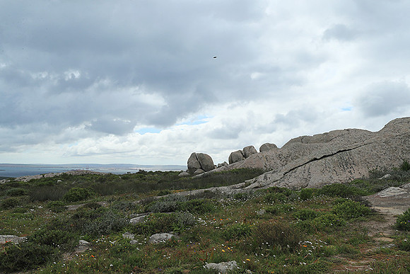 Landscape West Coast NP