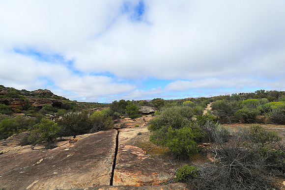 Landscape west coast