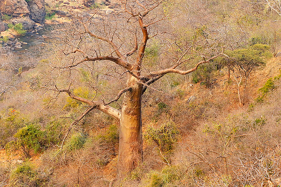 Lanner gorge - Northern Kruger NP