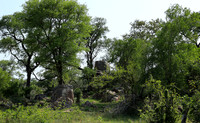 Lion Sands