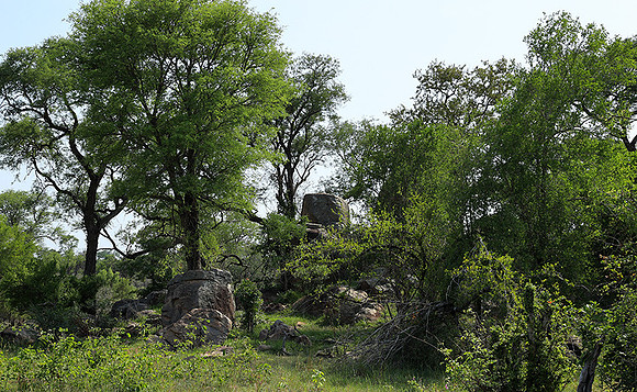 Lion Sands