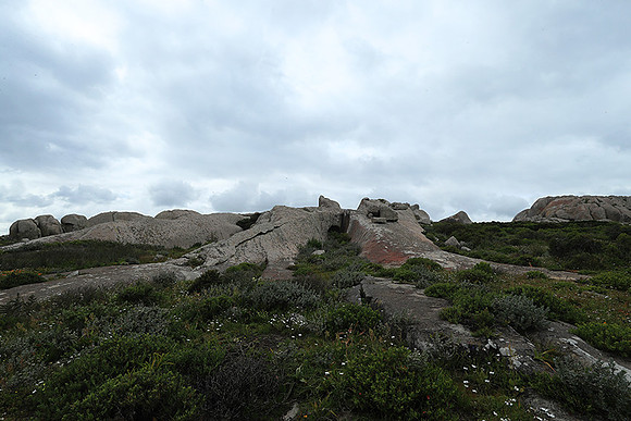 Landscape West Coast NP