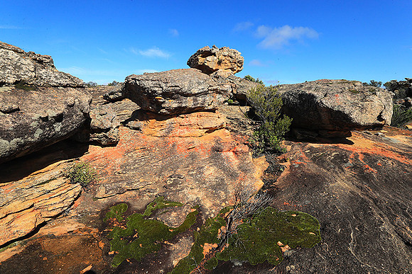 Landscape west coast