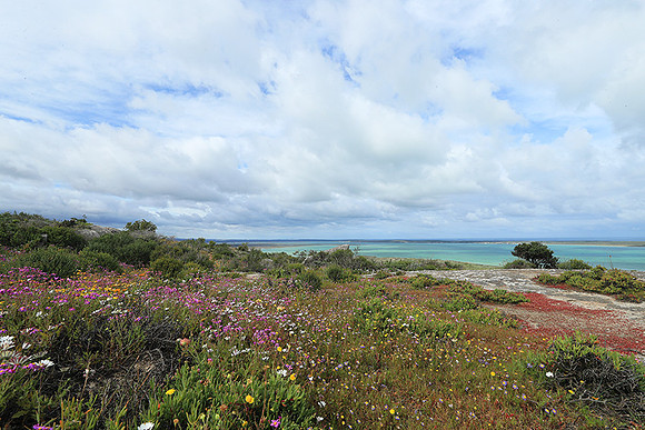 Landscape West Coast NP