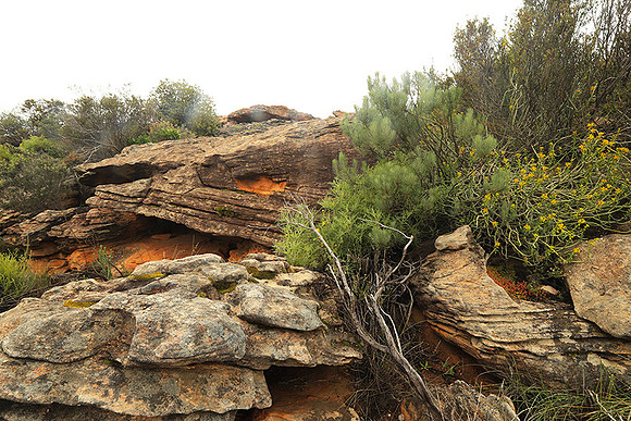 Landscape west coast