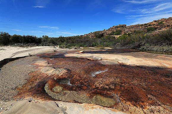 Landscape west coast