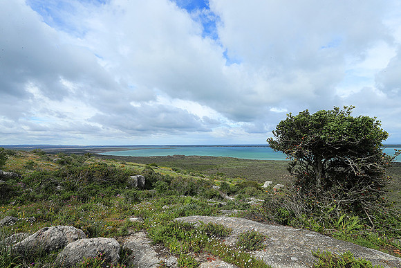 Landscape West Coast NP