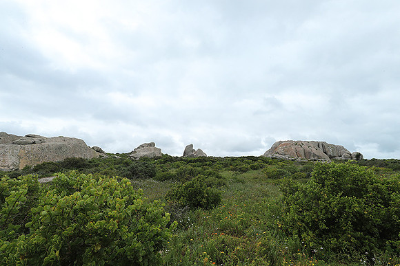 Landscape West Coast NP