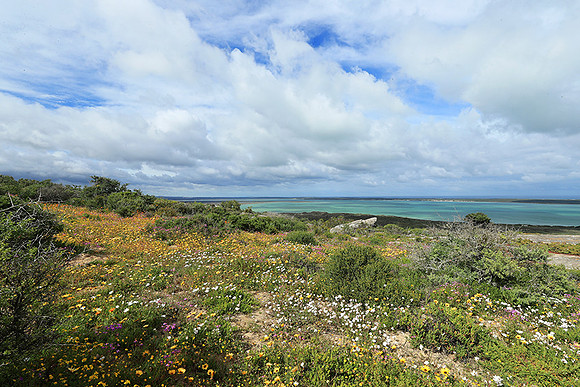 Landscape West Coast NP