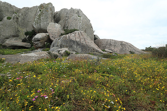 Landscape West Coast NP