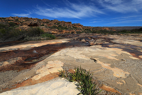 Landscape west coast