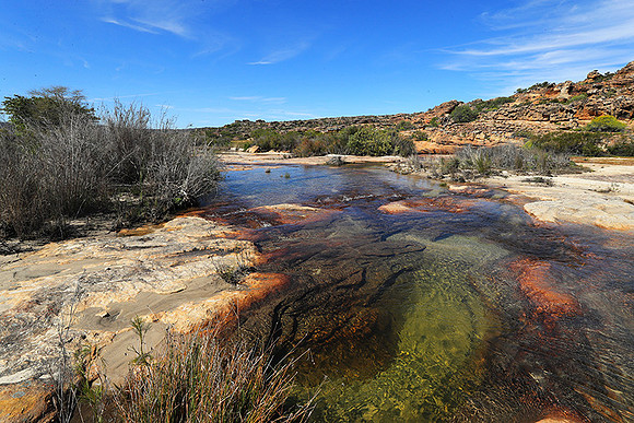 Landscape west coast