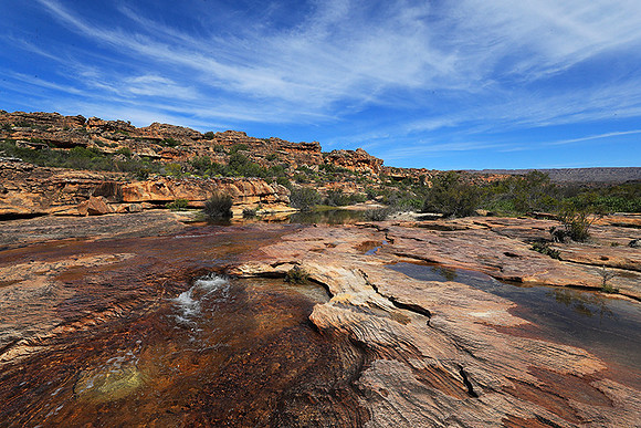 Landscape west coast
