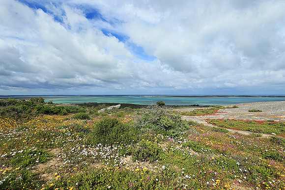 Landscape West Coast NP