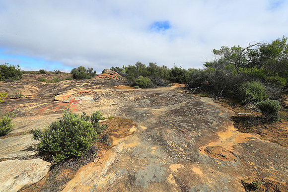 Landscape west coast