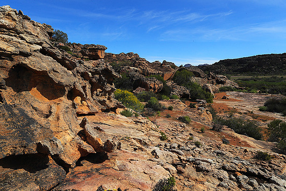 Landscape west coast