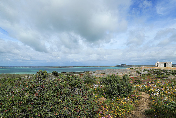 Landscape West Coast NP